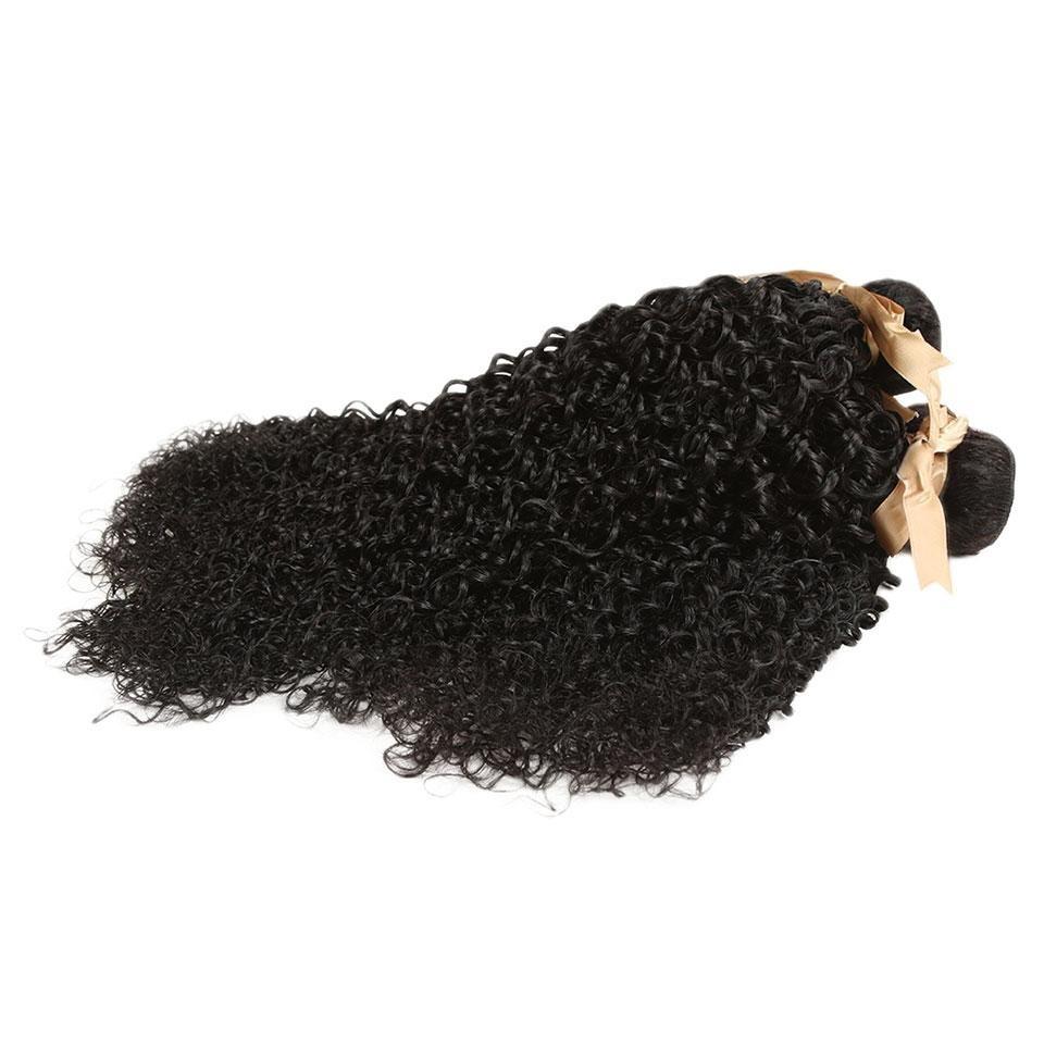 Malaysian Kinky Curly Bundles